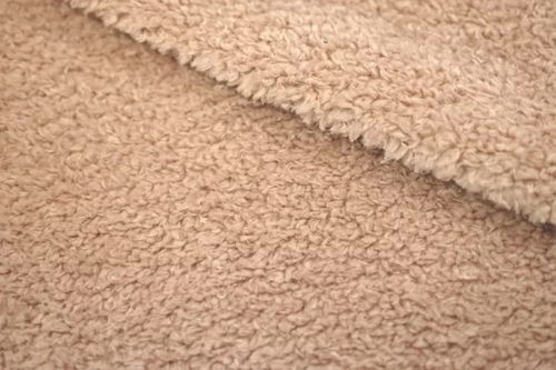 寒冬里的常青藤 搖粒絨,你了解多少