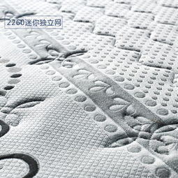 嘉洲床墊 德美健 納米遠紅外磁療床墊睡眠保健定制床墊