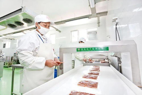 美食節(jié)餐飲服務的魅力與挑戰(zhàn)